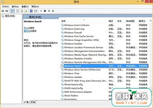 Windows Search