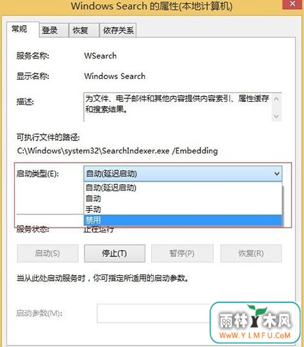 windows search