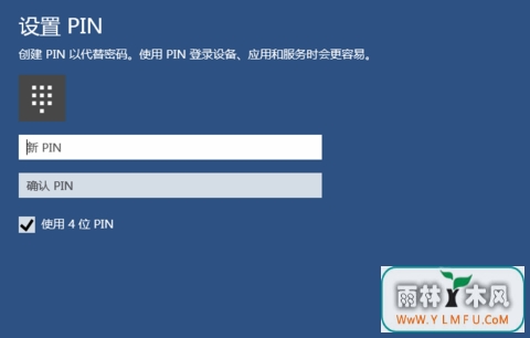 Win10PINʲôô