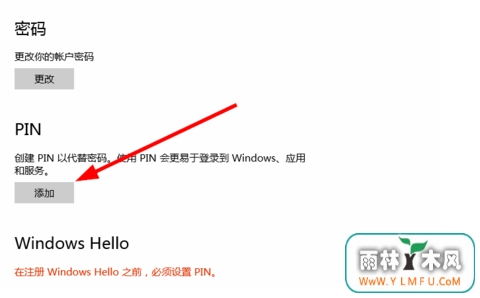 Win10PINʲôô