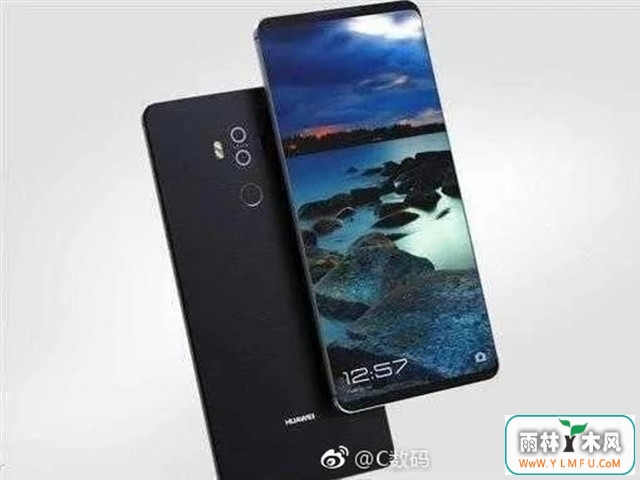 ΪMate 10Ƴ˫汾Proȫ