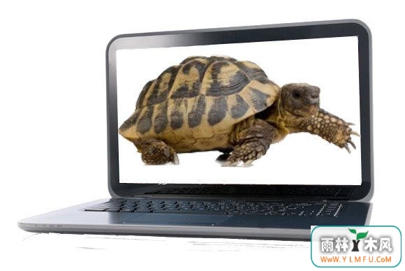 PCٶ ӿWindows10