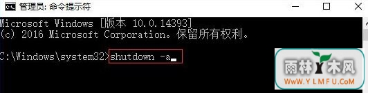 svchost.exe2