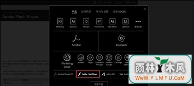 Win8ϵͳҳʾShockwave FlashĽ