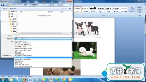 wordͼƬ