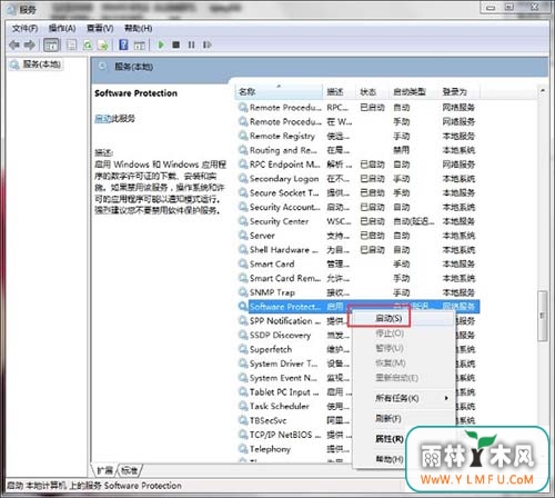 Software Protection