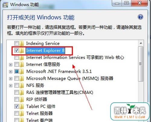 Internet Explorer 8