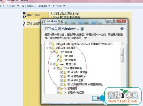 iis(3)