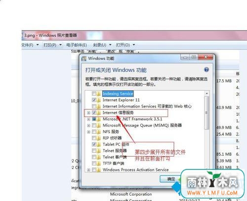 iis(2)