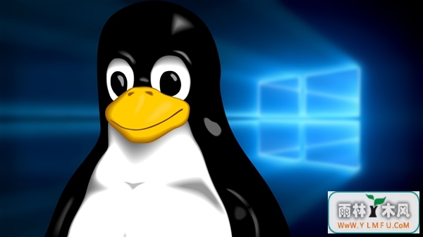 ɵCPUʧȥLinux֧ һӼ50д