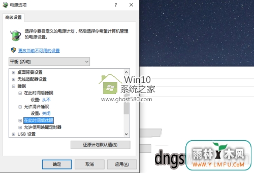 Win10ϵͳ˯޷ν(4)