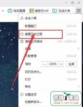 Windows10系统千影浏览器自动清除浏览痕迹的方法
