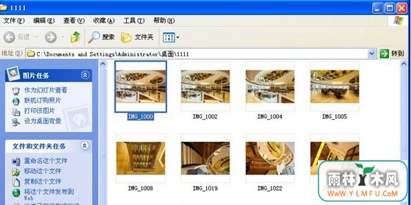 纯净版xp系统缩略图显示文件,不显示文件名的解决方法