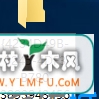 Ӧļ(5)