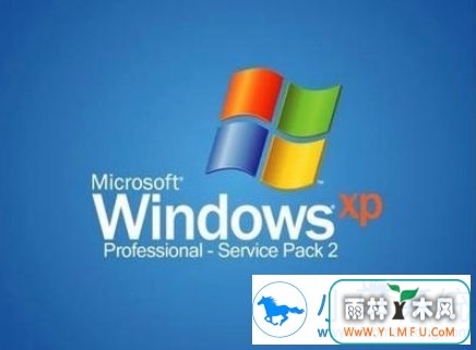 νxpϵͳװchrome޷ҵ