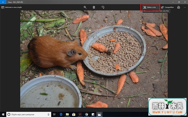 α༭Win10ƬӦóеͼƬ