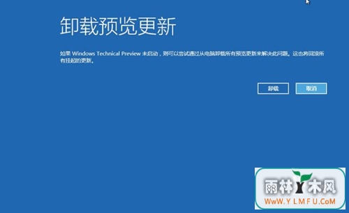 win10ɣʹwin10Զָϵͳ