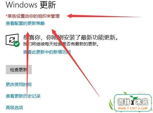 Win10ϵͳʽ