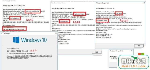 Win10ϵͳĿǰϼʽ(12)