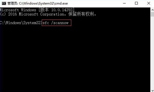 sd򲻿ô,ǳwin10ϵͳ޷sdĽ(1)