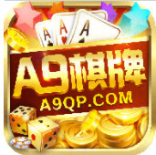  A9