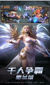 ֮app