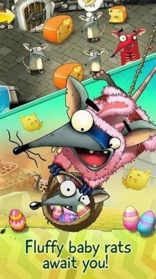 The RatsϷ