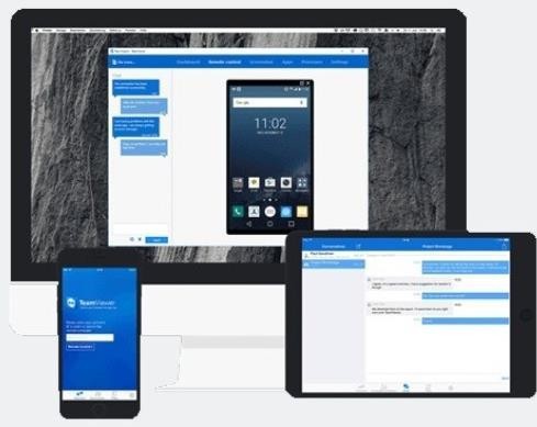TeamViewer QuickJoinǿ