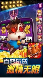 鶷ţţ˰