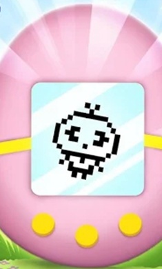 ����Զ������ɼ�����