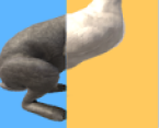 лﾺ