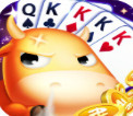 ţ