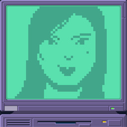 Ҫİ˵