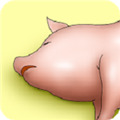 Ҹ°