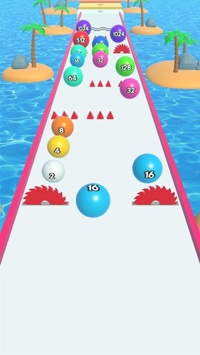 20481
