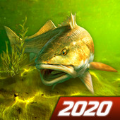 ҵĵ