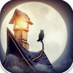  èͷӥ�͵���