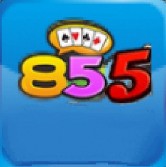 855ţţ