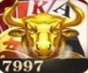 7997conţƹ