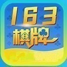 163¹