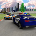 警察犯罪赛车