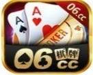 06
