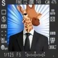 ﾺ׿