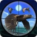 鸟类狩猎挑战游戏官方版