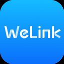 Ϊwelink׼ V10.22
