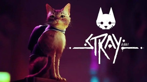 strayɾ ʧɾϸ