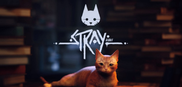 ʧstrayذװ