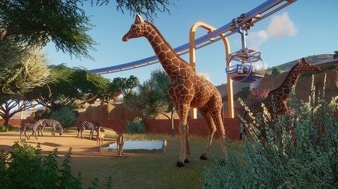 动物园之星游戏免费下载手机版