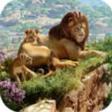 动物园之星免费版手机版  v2.0.5