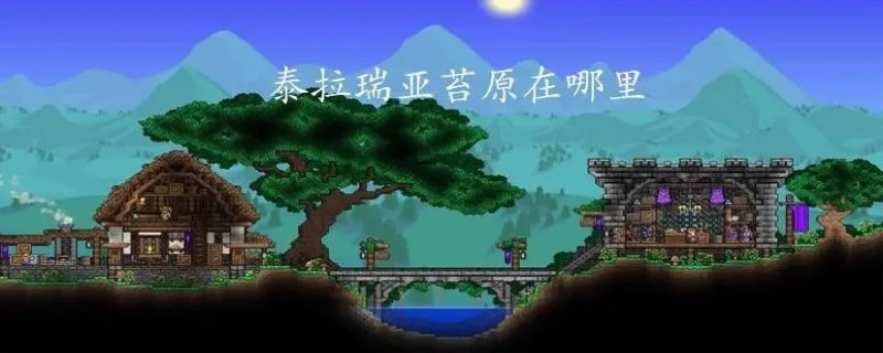 泰拉瑞亚苔原在哪 泰拉瑞亚苔原位置介绍